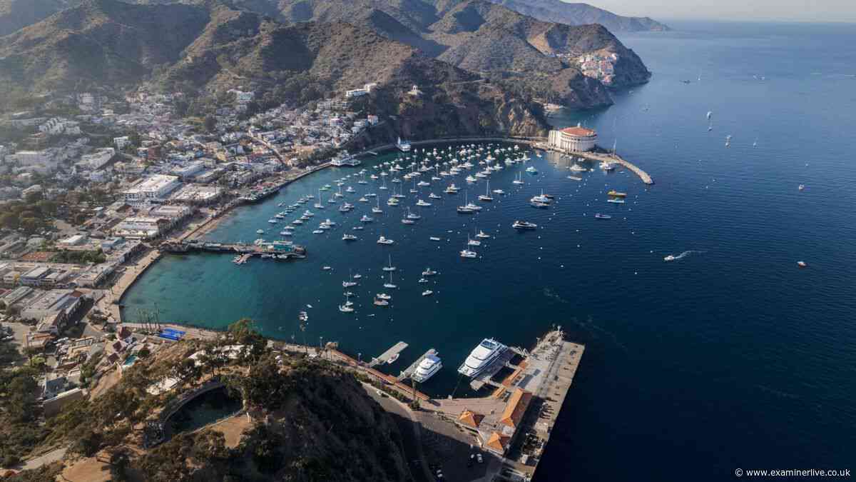 Catalina Island medical helicopter crash leaves two dead as search launched