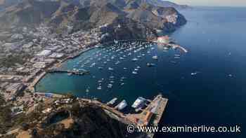 Catalina Island medical helicopter crash leaves two dead as search launched