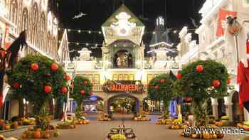 Gruselspaß im Europa-Park: So wird Halloween 2026 gefeiert