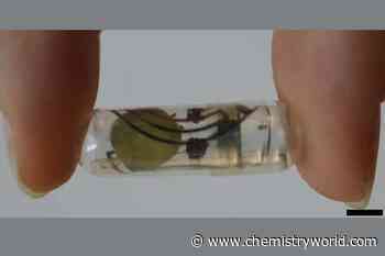Batteries that break down in the body could power ingestible medical devices