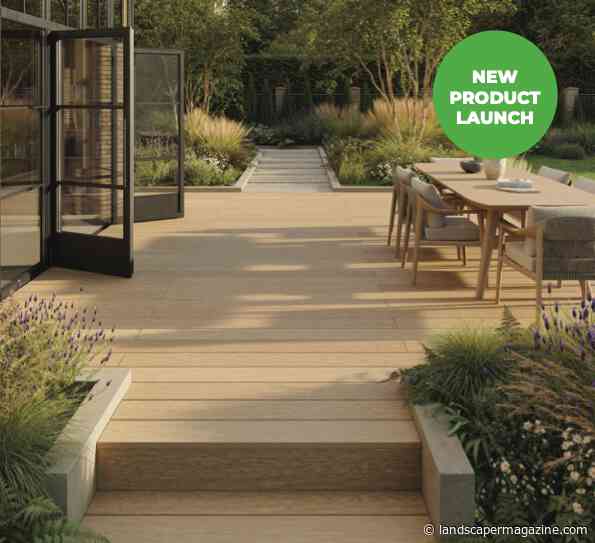 The Beauty Of Natural Timber, Reimagined