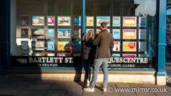 House prices have suffered a sharp slowdown but some areas are much worse than others - full list