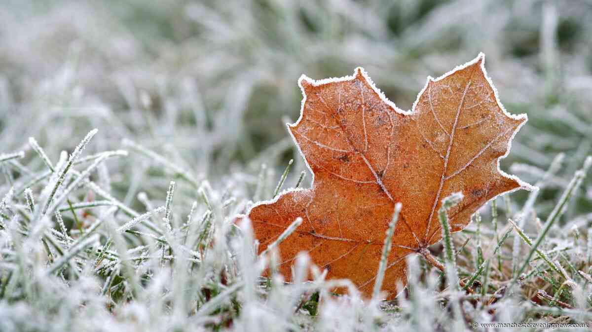 Met Office issues polar vortex UK update amid El Nino fears as experts warn of 'heightened potential'