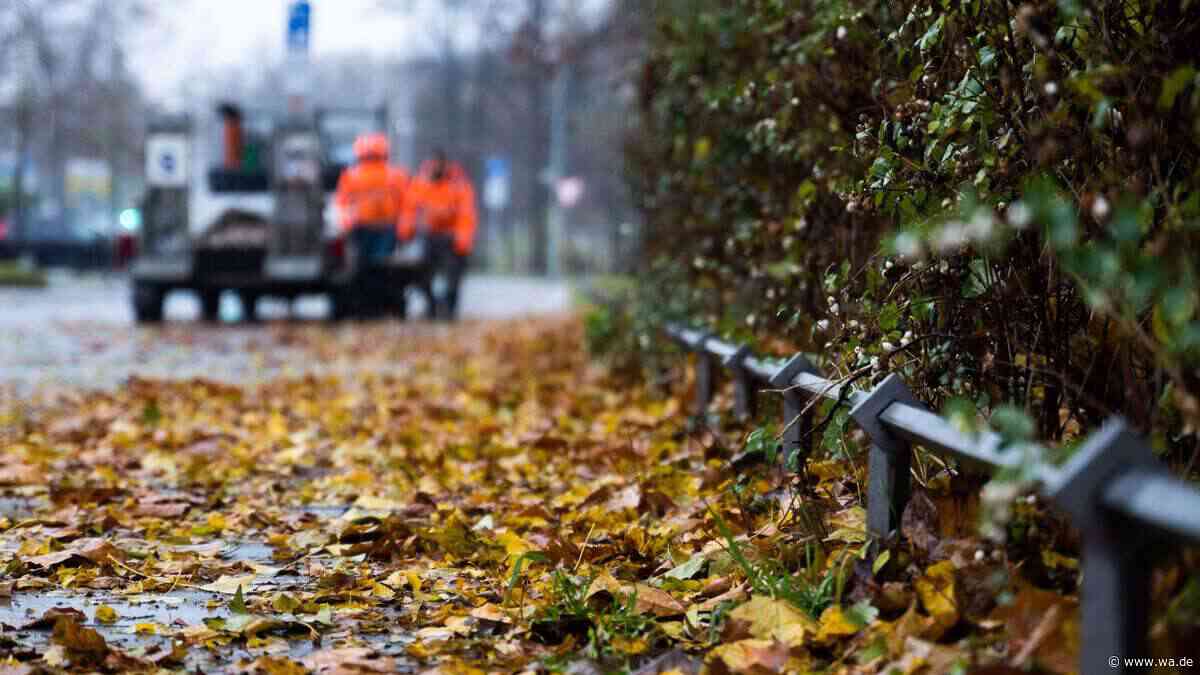 Bergkamen bietet kostenfreie Laubabgabe zum dritten Mal in Folge an