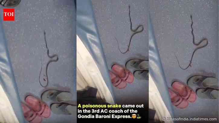 Video shows poisonous snake in Gondia–Barauni Express 3AC coach; what travellers should do