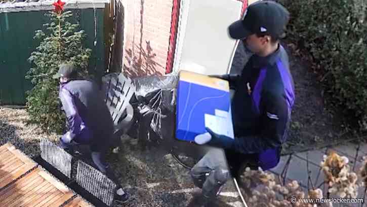 Bewakingsbeeld: hondsbrutale mannen overvallen moeder en zoon in huis Almere-Haven