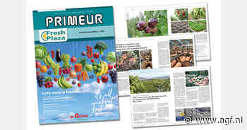 Lees nu het internationale beursmagazine van Primeur (Spaans/Engels)