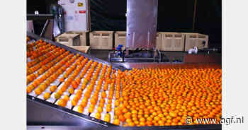 Zuid-Afrikaanse citrussector kampt met twijfels over de toekomst