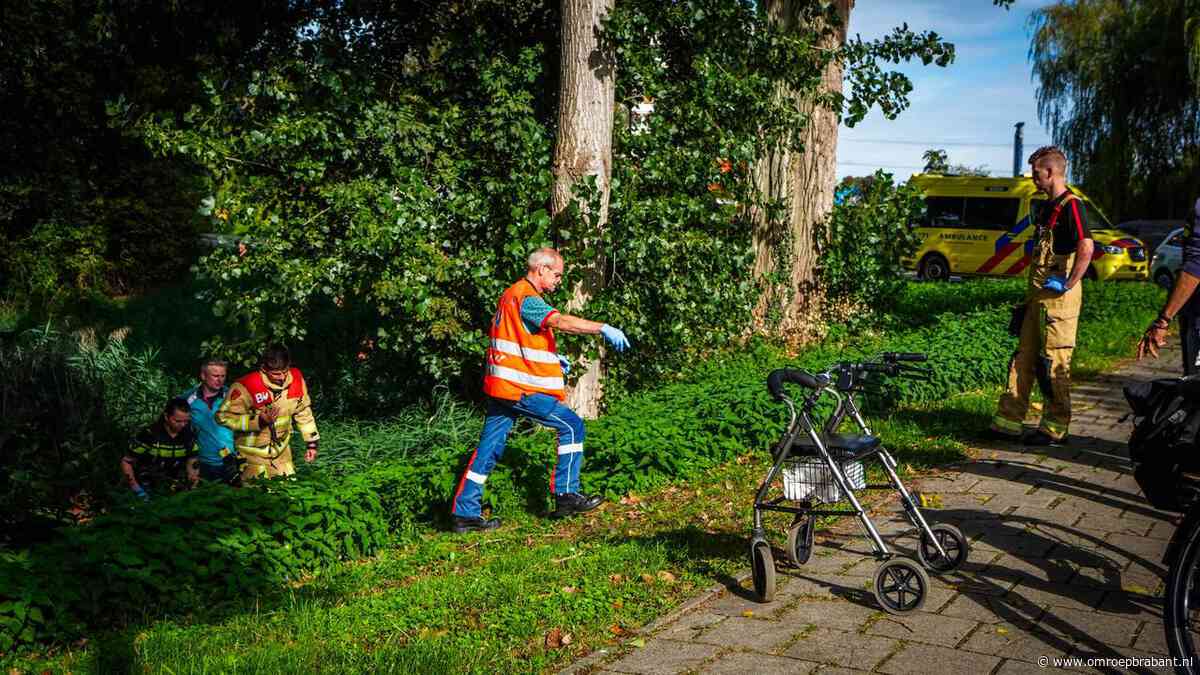Omstanders redden oudere vrouw uit vijver in Eindhoven