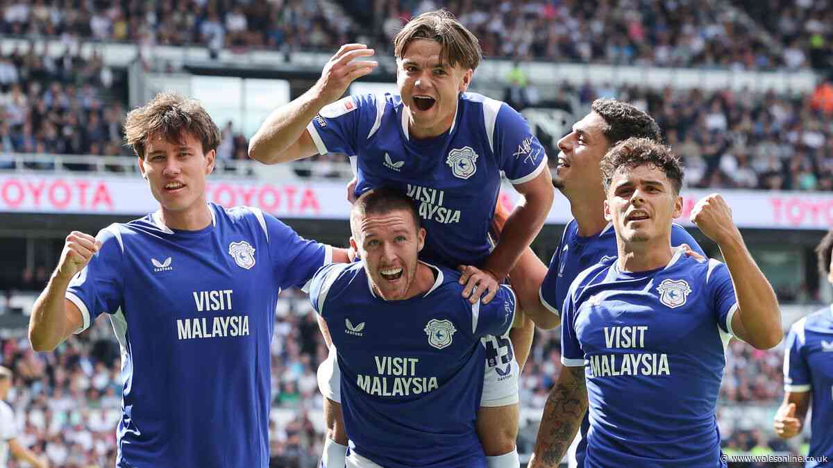 Cardiff City's most valuable transfer asset revealed as investment pays off