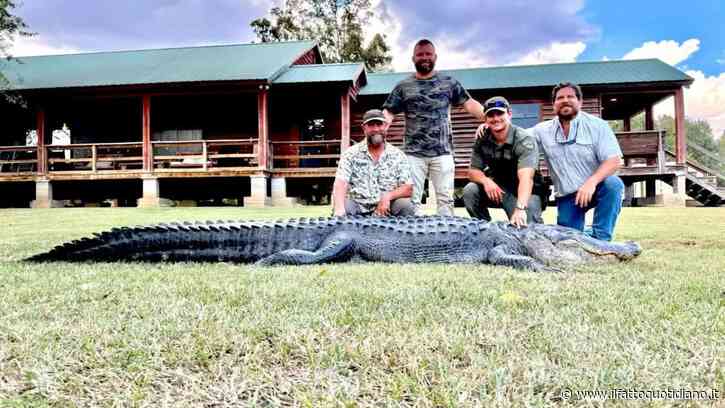 Ucciso in Louisiana un alligatore di 4.42 metri: dentro la pancia ne aveva un altro lungo 1.2 metri. L’incredibile scoperta