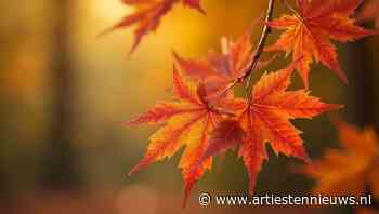 De 10 mooiste nummers over de herfst