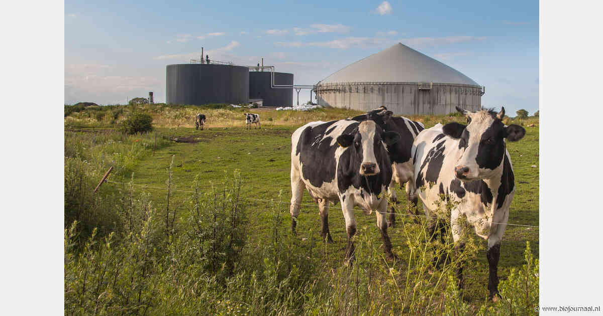 Steun voor bijmengverplichting groen gas onzeker na zorgen over landbouw
