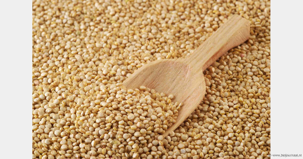 Biologische quinoa levert volgens teler hoger saldo dan tarwe