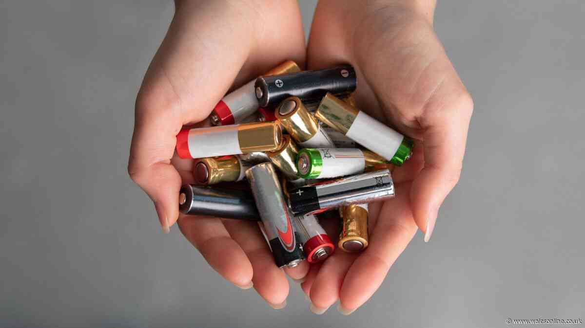 Binman explains where batteries should be disposed of at home — not the bin
