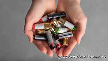 Binman explains where batteries should be disposed of at home — not the bin