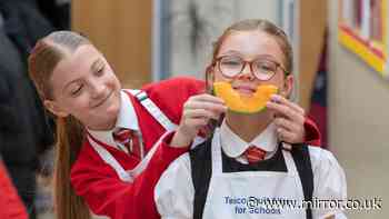 Free food Tesco giveaway update as 20 million portions eaten