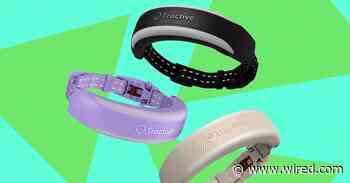 Tractive Cat 6 Mini Review: A Fitbit for Your Cat
