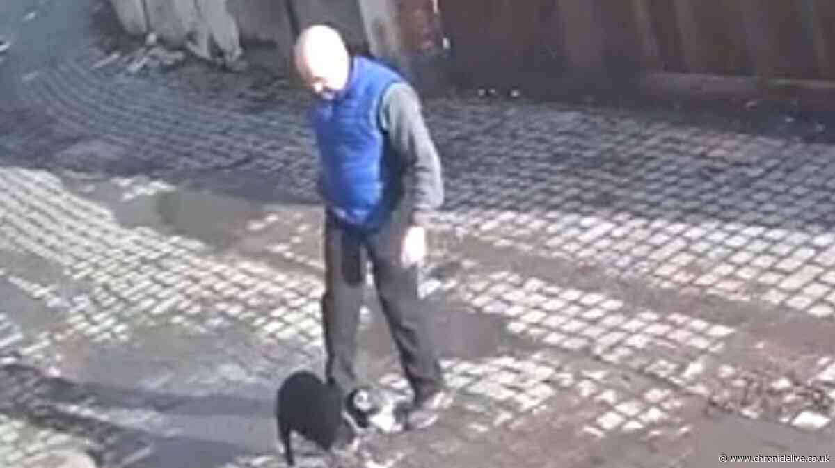 North East man caught on camera kicking blind pet dog who was suffering with cancer