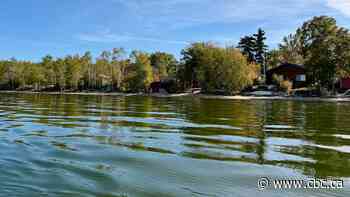 Why Lac La Biche's shoreline is getting a health checkup