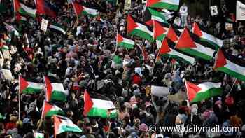 Controversial 'globalise the intifada' slogan could be banned across Australia as second state joins legal battle
