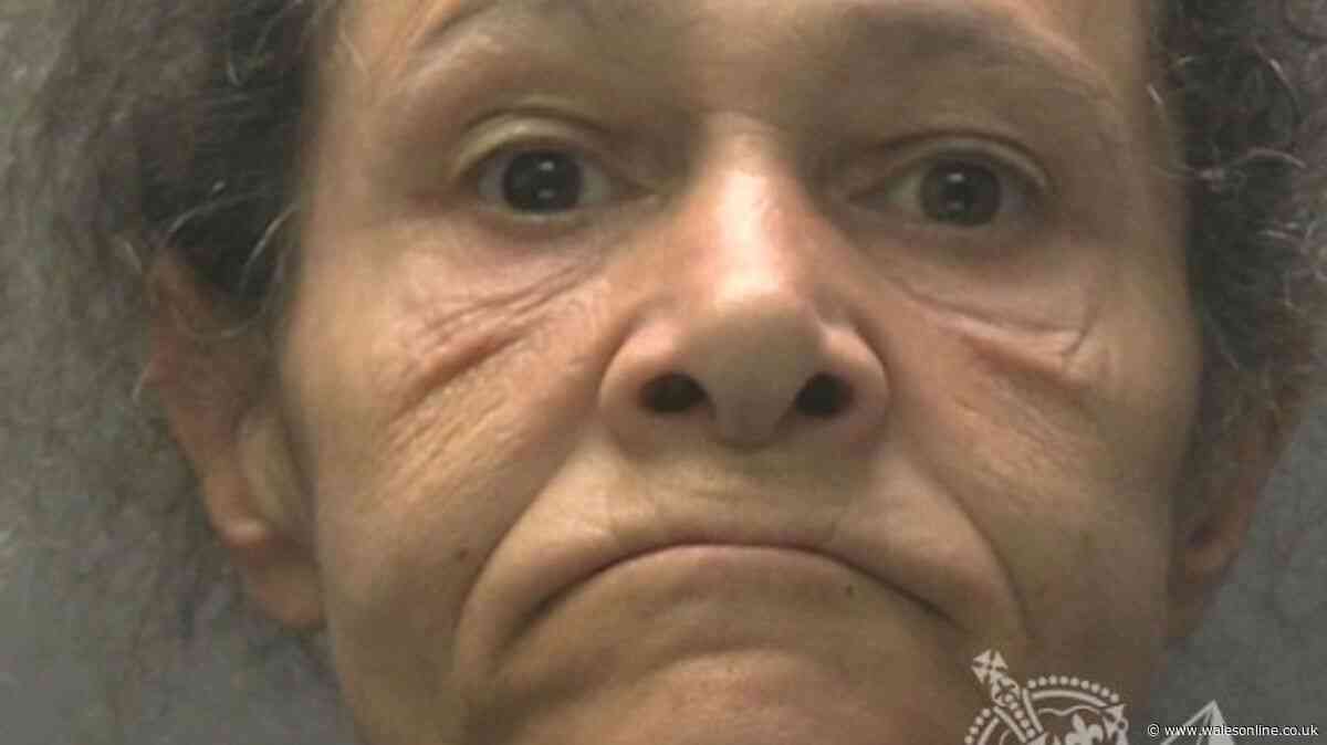 Pensioner, 88, wrestled to the ground and robbed at Newport Tesco during day out with granddaughter