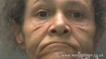 Pensioner, 88, wrestled to the ground and robbed at Newport Tesco during day out with granddaughter