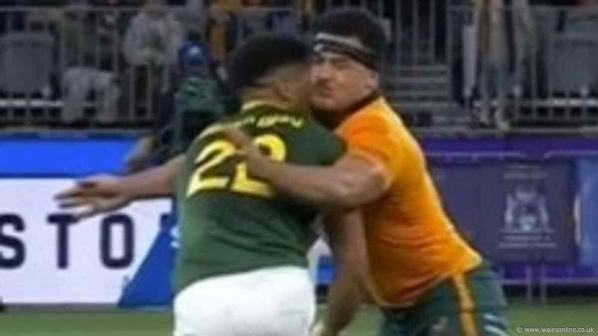 Rugby star banned after Australia v Springboks chaos as coach bites tongue