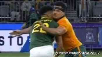 Rugby star banned after Australia v Springboks chaos as coach bites tongue