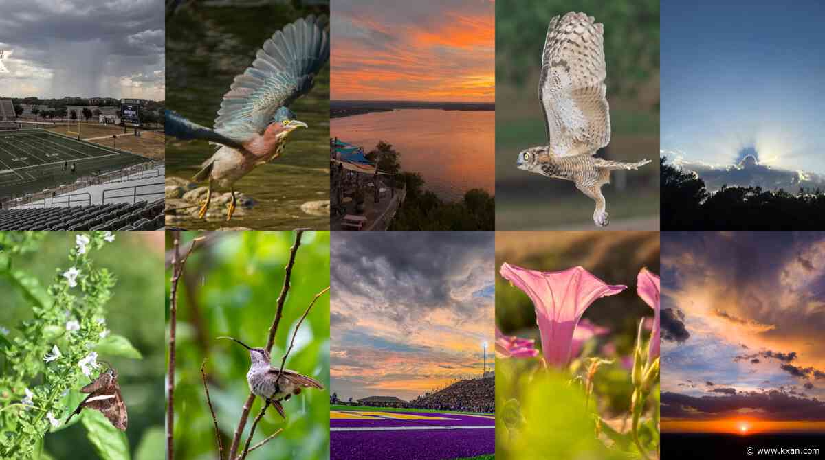 Photo of the Month poll: Vote for the best viewer photo of September