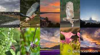 Photo of the Month poll: Vote for the best viewer photo of September