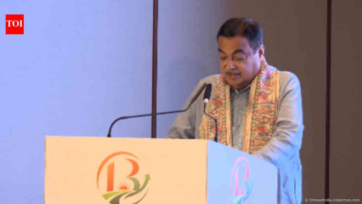 'Show me one damaged vehicle': Nitin Gadkari's dare on ethanol blending, targets vested interests