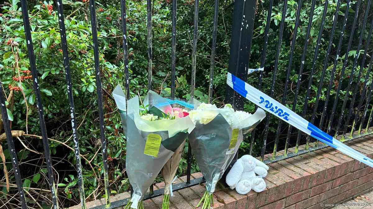 Sheffield Baby S suffered 33 wounds from 15 separate stabbings - Inquest