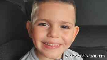 Boy, eight, died after being kicked in head by horse when he entered fenced off area while his mother's back was turned, inquest told