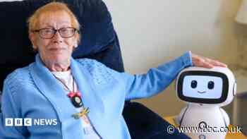 Meet the robot looking after Vera, 74, in her own home