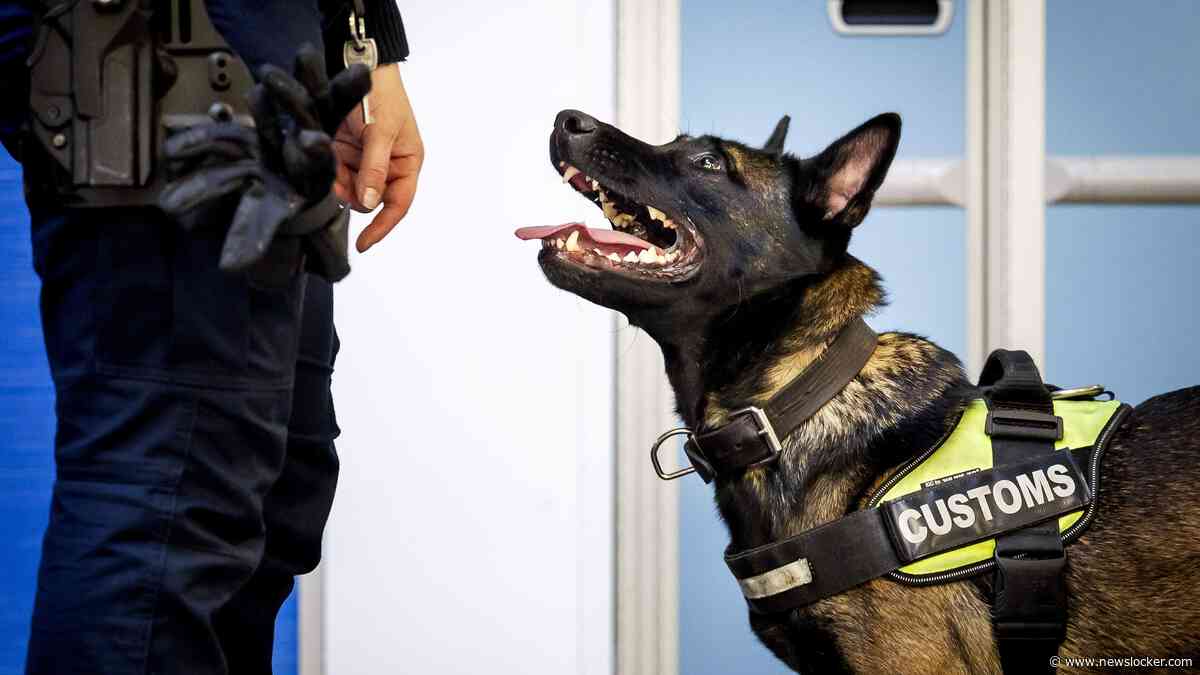 Douane vindt achttien kilo cocaïne bij bemanningslid op Schiphol