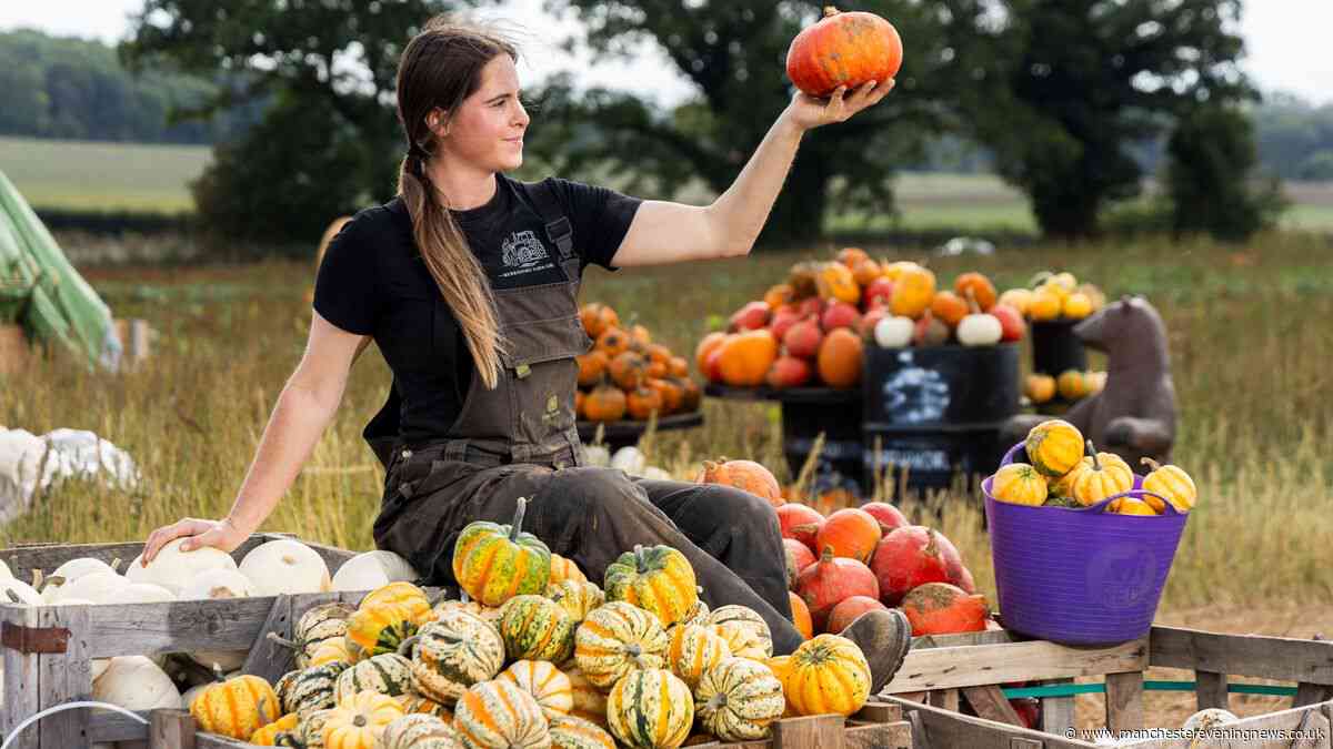 Farmers issue Halloween pumpkin warning after scorching 38C UK summer
