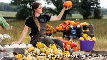 Farmers issue Halloween pumpkin warning after scorching 38C UK summer