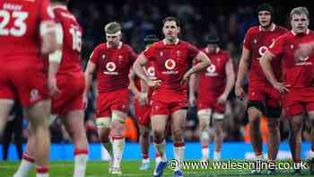 Wales have real game-changers but Rugby World Cup verdicts all say same thing