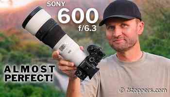 How Sony's New 600mm f/6.3 Handles Fast Birds in Flight
