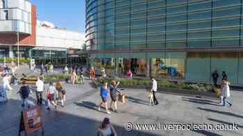 First look at city centre's £30m green, floral rain garden investment