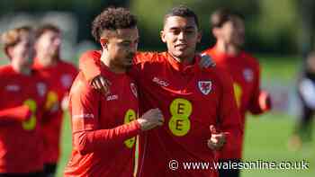 Wales v Norway kick-off time, TV channel and live stream details