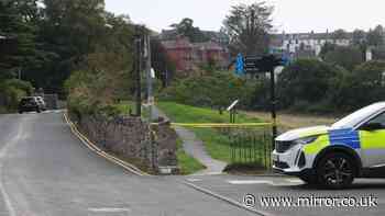 Baby girl found dead on Bangor shoreline ‘may have been in water for weeks’