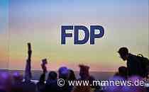 FDP-Antrag für Abstimmungen mit der AfD sorgt für Diskussionen