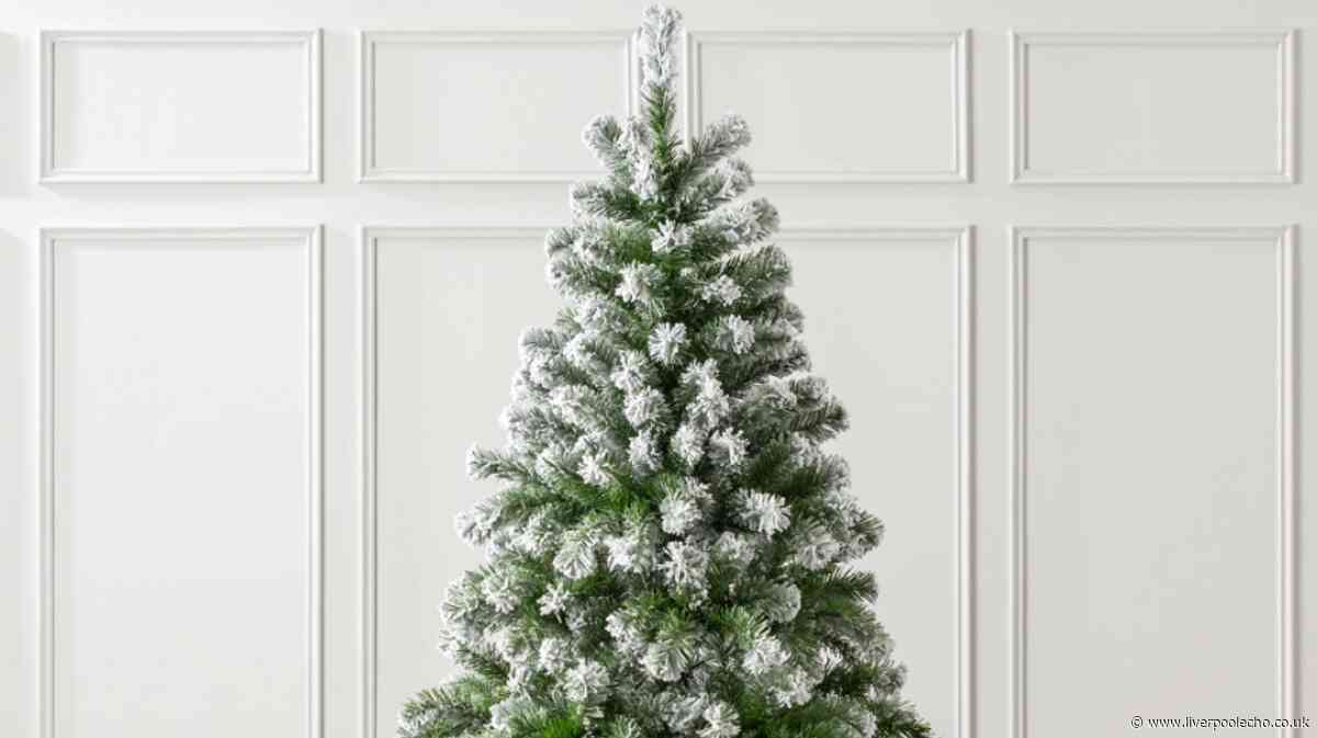 Debenhams reduces 'outstanding' Christmas tree as shoppers 'can't wait for December'