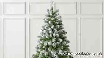 Debenhams reduces 'outstanding' Christmas tree as shoppers 'can't wait for December'