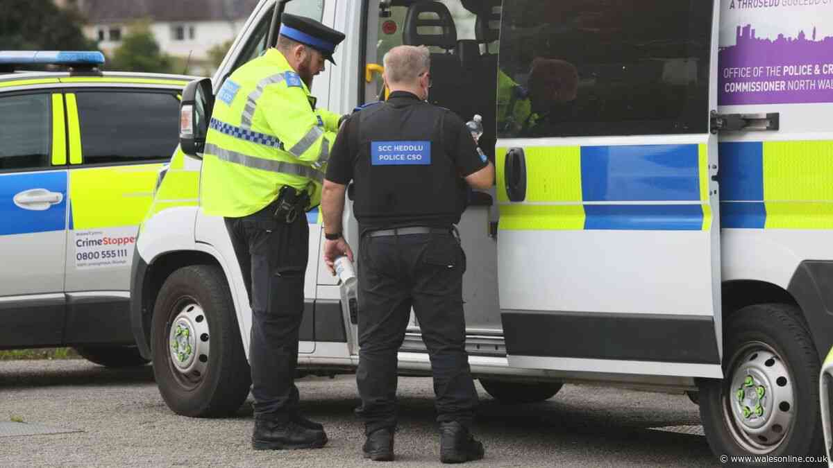 Baby girl found near Welsh shoreline may have been in water for weeks, police say