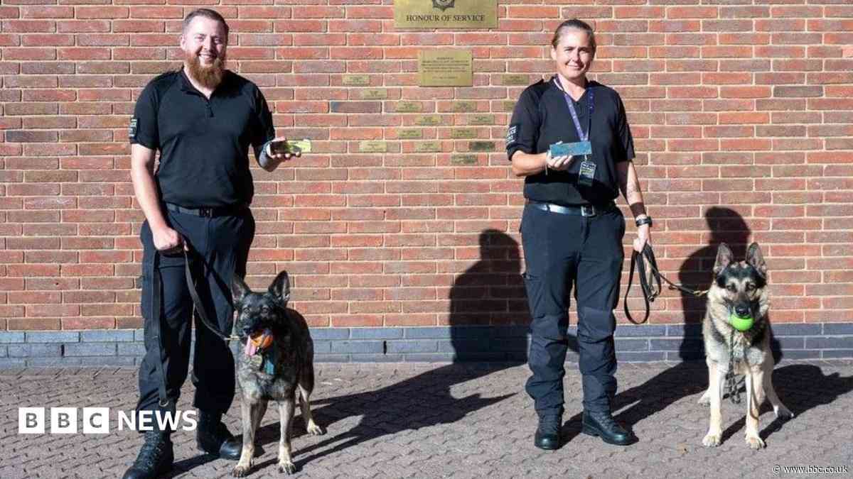 Police dogs Bryn and Ebby to bow wow out