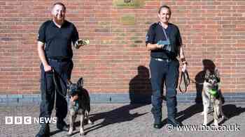 Police dogs Bryn and Ebby to bow wow out