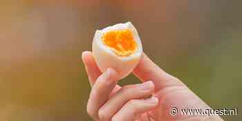 Hoe gezond is het eigenlijk als je elke dag een ei eet?